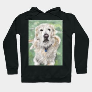 Golden Retriever Sitting on the Grass Hoodie